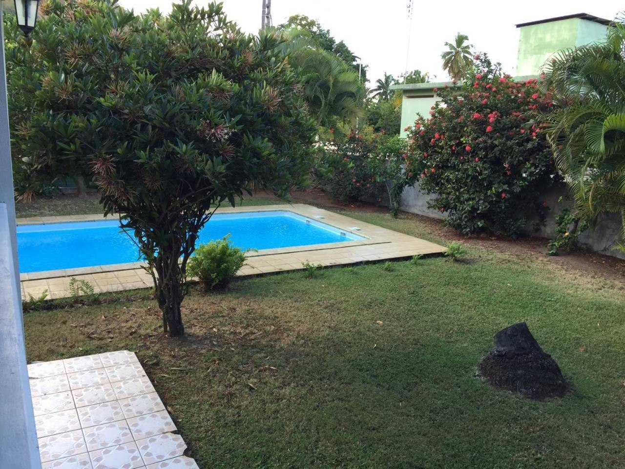 Apartament T2 Tropical En Bord De Piscine A 100M De La Mer Le Carbet Zewnętrze zdjęcie